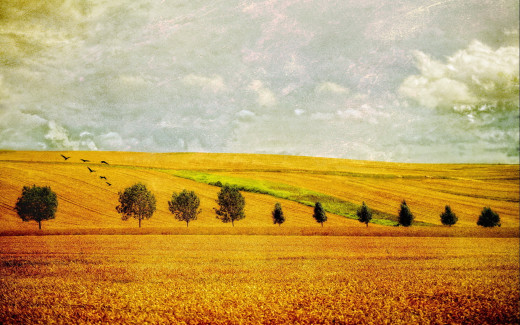 1479031 (a): :1920x1200